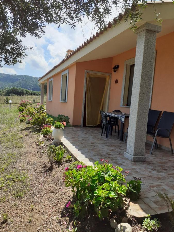 Agriturismo Gli Olivastri -Appartamento Bel Vedere Con Piscina ,Solarium E Vista Mare,Climatizzatore ,Wifi أغلينتو المظهر الخارجي الصورة