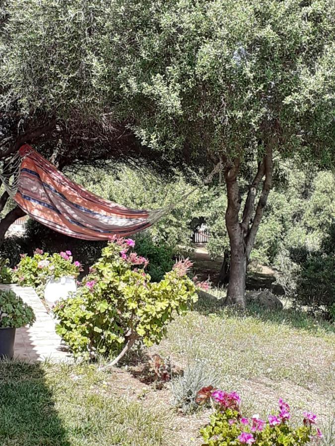 Agriturismo Gli Olivastri -Appartamento Bel Vedere Con Piscina ,Solarium E Vista Mare,Climatizzatore ,Wifi أغلينتو المظهر الخارجي الصورة